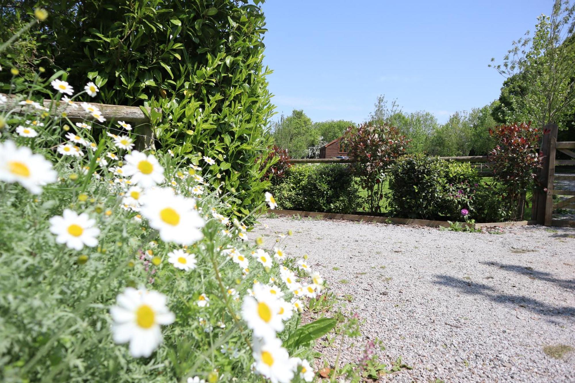 The White Horse Inn Washford ภายนอก รูปภาพ