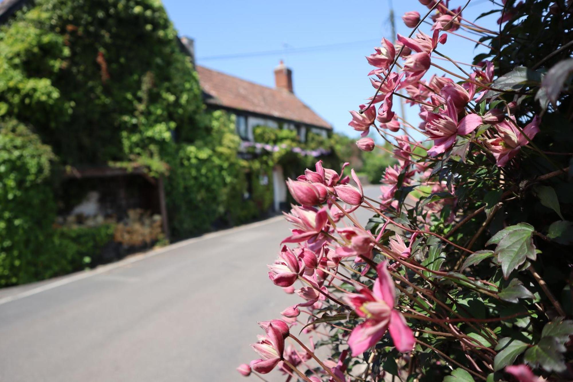 The White Horse Inn Washford ภายนอก รูปภาพ